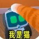 我是一只猫！鸿蒙版