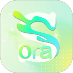 Sora 视界