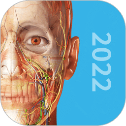3D 人体解剖