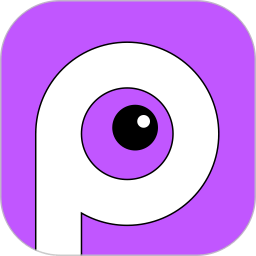 P 图软件