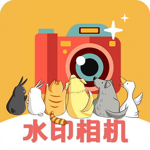 P 图水印