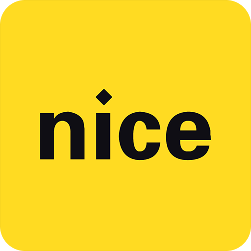 nice 货源