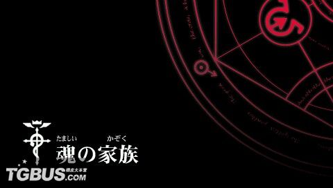 钢之炼金术士：约束之日