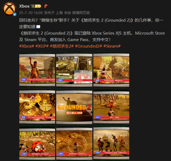 丢塔手游网
