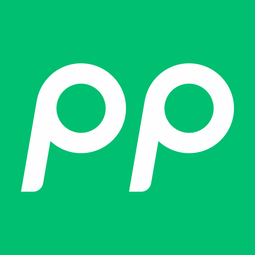 PP 停车