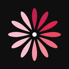 WomanLog 日历