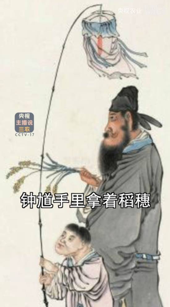 丢塔手游网