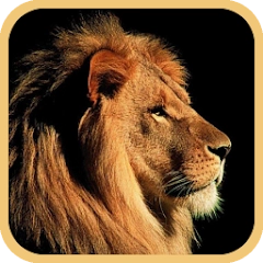 app-Logo