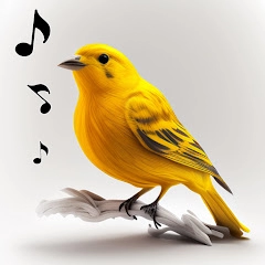 app-Logo