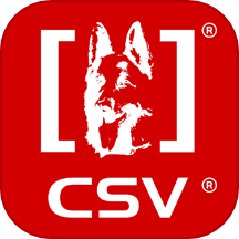 CSV
