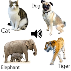 动物声音