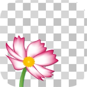 app-Logo