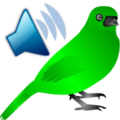 Birds Calls Sounds