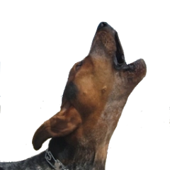 app-Logo